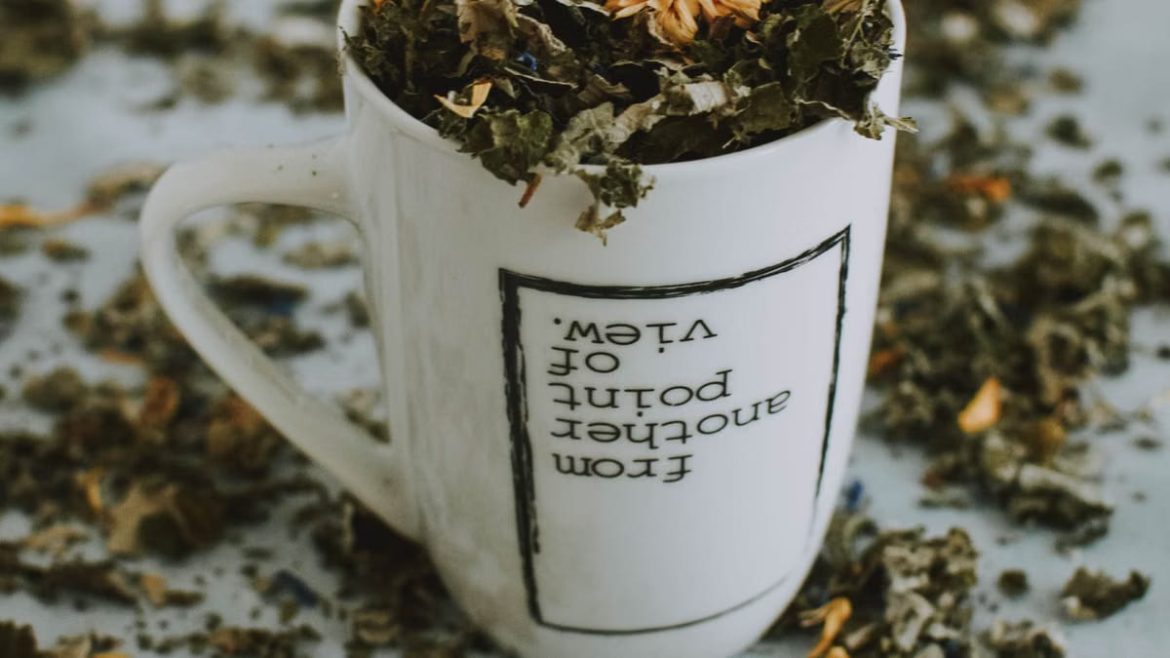 Plantes médicinales pour le bien-être : guide pratique