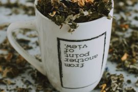 Plantes médicinales pour le bien-être : guide pratique