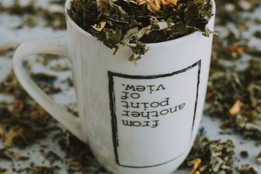 Plantes médicinales pour le bien-être : guide pratique