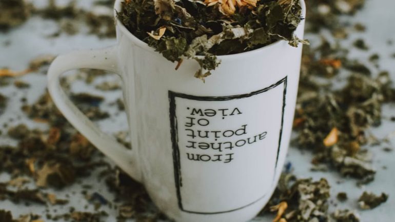 Plantes médicinales pour le bien-être : guide pratique