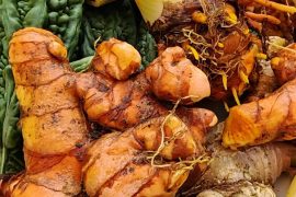 Santé naturelle : 5 solutions éprouvées qui remplacent les médicaments