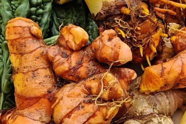 Santé naturelle : 5 solutions éprouvées qui remplacent les médicaments